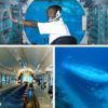 Atlantis_Submarine_Tour_Cozumel_4