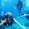 Cozumel_Diving_Trips_2