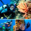 Discover_Scuba_Diving_Course_in_Cozumel_1