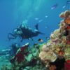 Discover_Scuba_Diving_Course_in_Cozumel_5