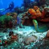 Discover_Scuba_Diving_Course_in_Cozumel_6