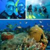 Discover_Scuba_Diving_Course_in_Cozumel_7