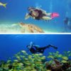 Dive_and_Drive_Cozumel_2 2