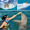 Dolphin_Royal_Swim_Cozumel_3