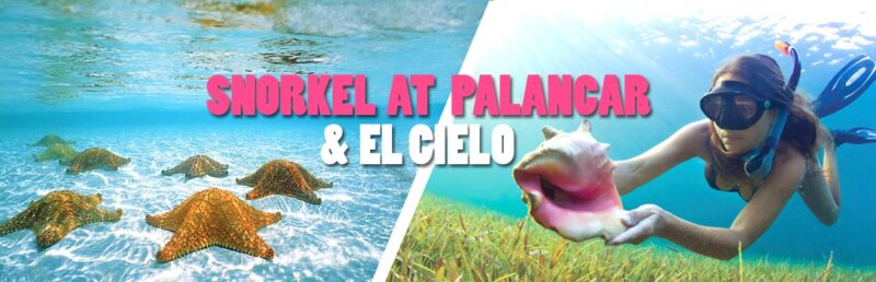 Snorkel_at_Palancar_and_ElCielo